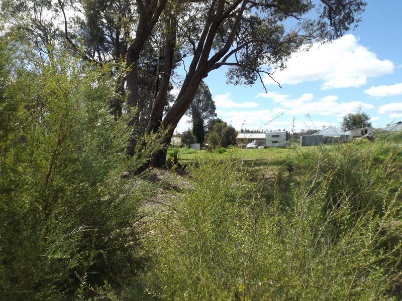 48 Diorite Street, Greenbushes WA 6254