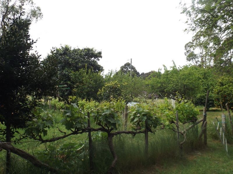 7583 Kangaroo Gully Road, Bridgetown WA 6255