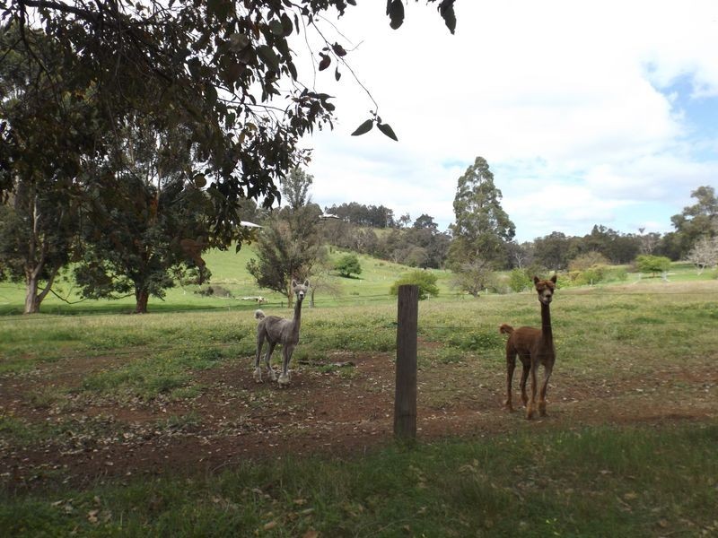 7583 Kangaroo Gully Road, Bridgetown WA 6255