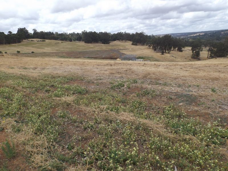 L 33 Dexter Rise, Bridgetown WA 6255