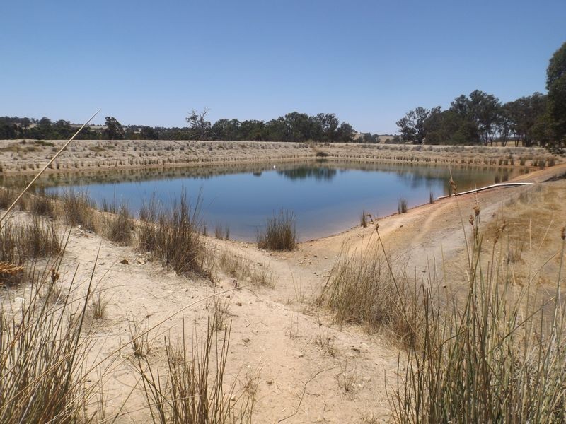 21 Bridgetown Boyup Brook Road, Boyup Brook WA 6244
