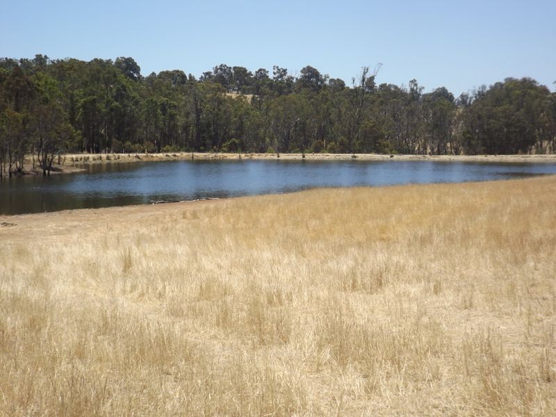 21 Bridgetown Boyup Brook Road, Boyup Brook WA 6244