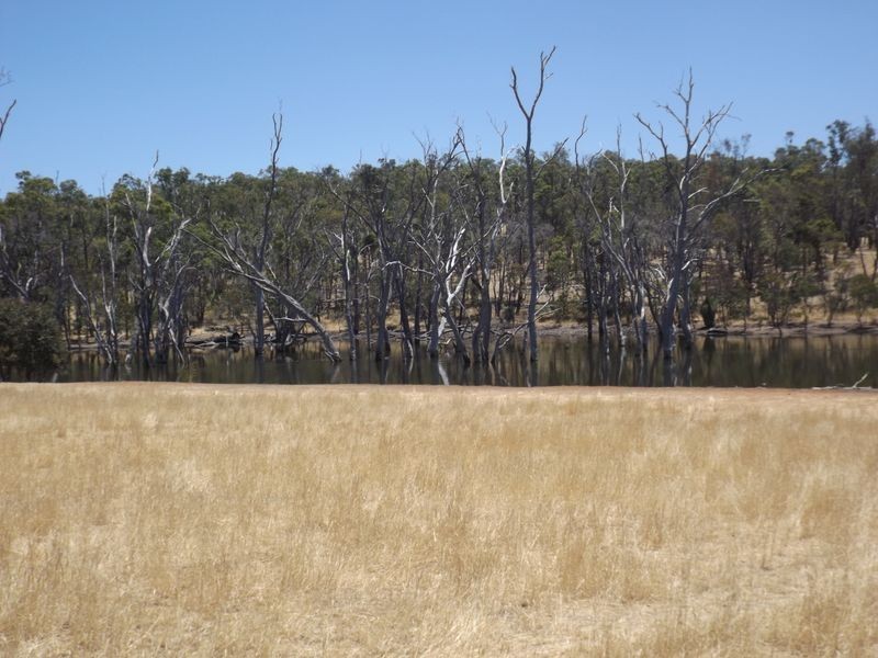 21 Bridgetown Boyup Brook Road, Boyup Brook WA 6244