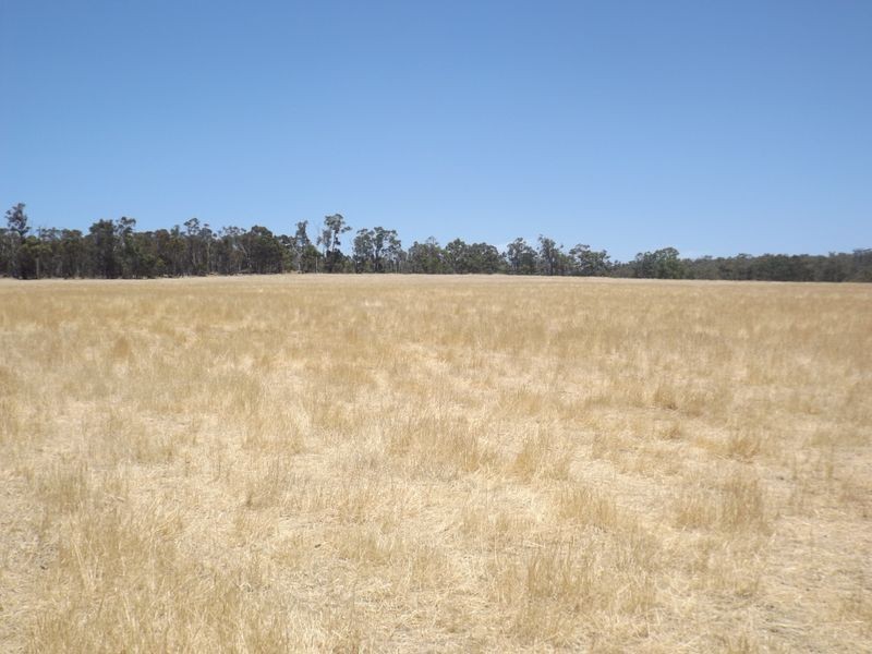 21 Bridgetown Boyup Brook Road, Boyup Brook WA 6244