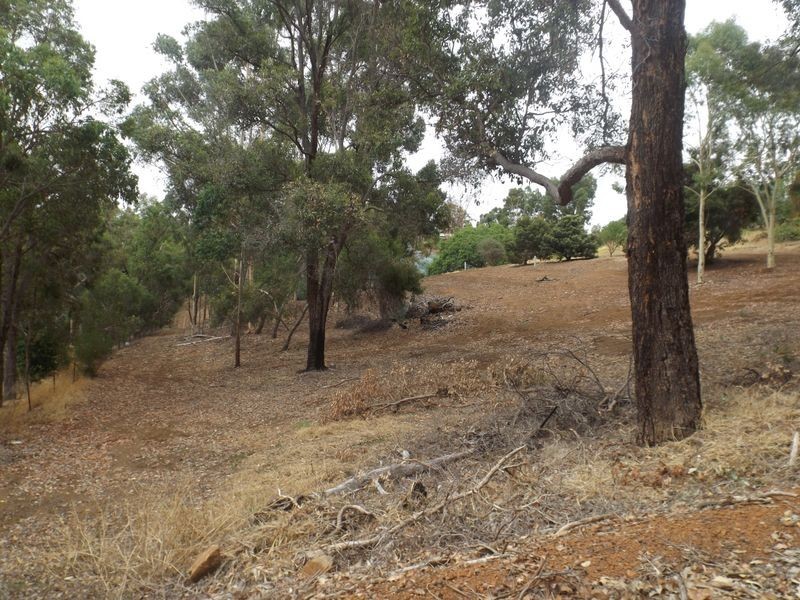 41 Campbell Street, Bridgetown WA 6255