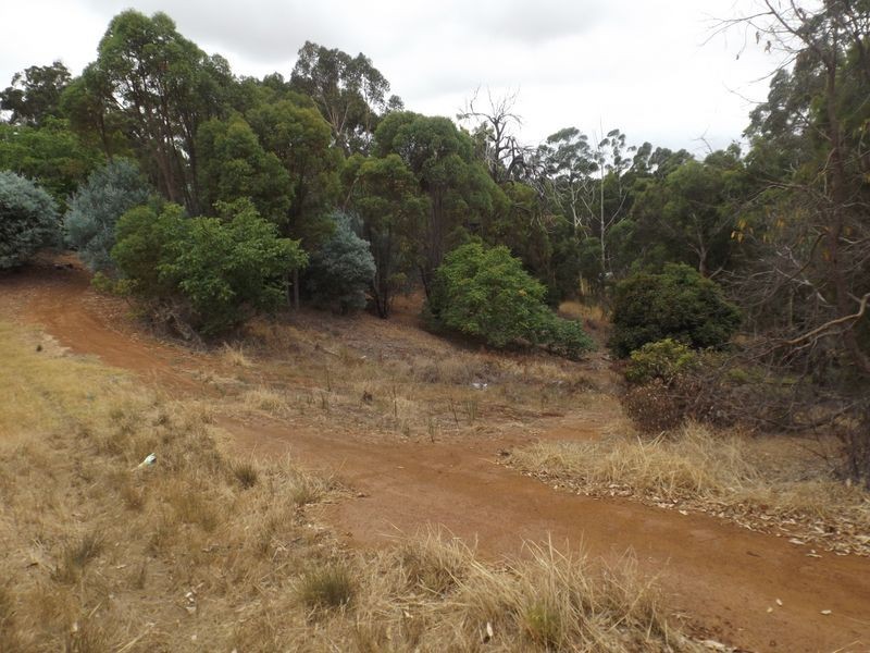 41 Campbell Street, Bridgetown WA 6255