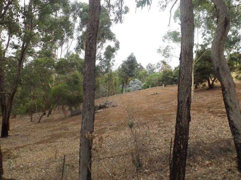 41 Campbell Street, Bridgetown WA 6255