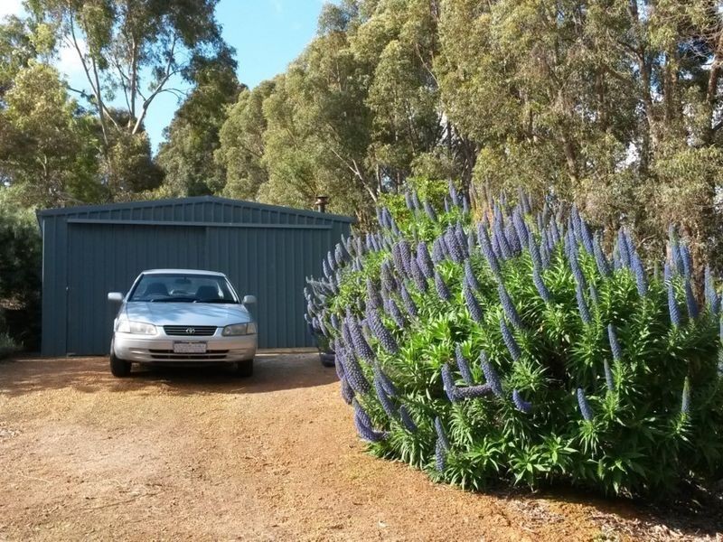 8 Cutmore Crescent, Bridgetown WA 6255