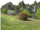 8 Cutmore Crescent, Bridgetown WA 6255