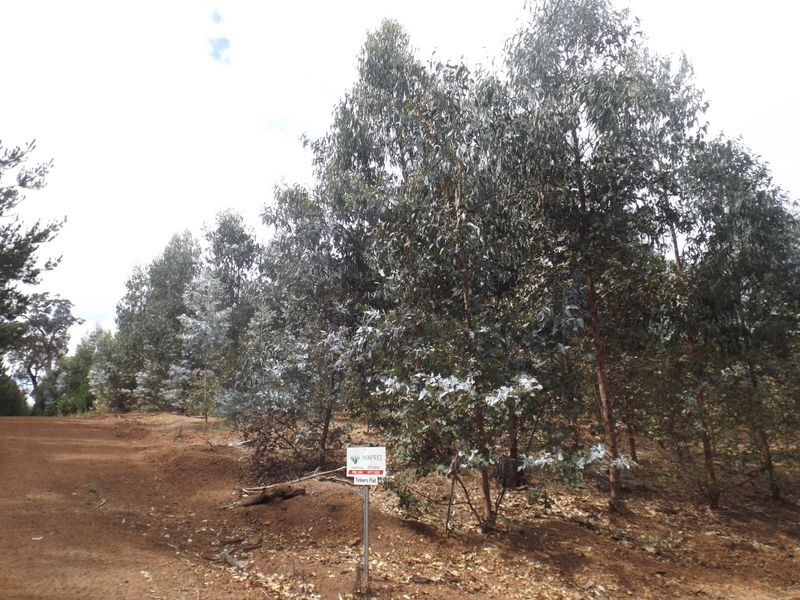 L 801 Greville Road, Bridgetown WA 6255