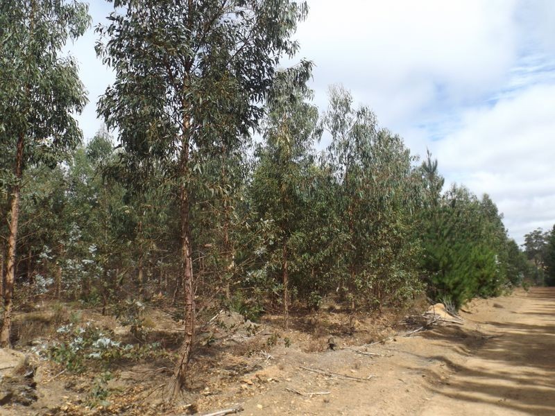 L 801 Greville Road, Bridgetown WA 6255