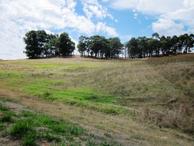 L 51 Sunridge Drive, Bridgetown WA 6255