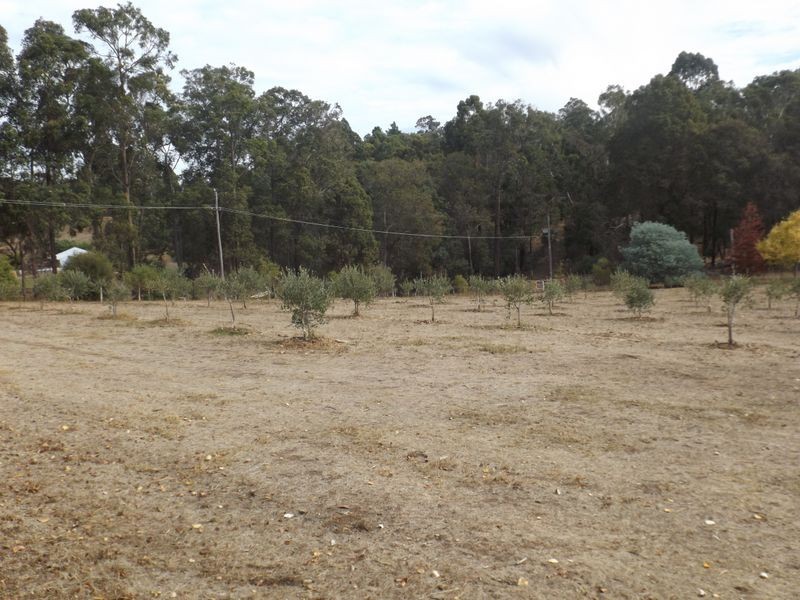 2 McLarty Street, Bridgetown WA 6255