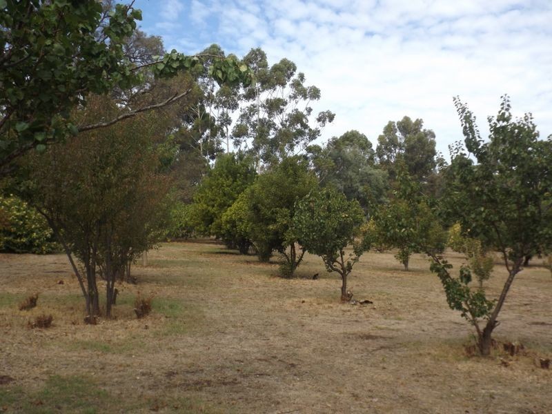 2 McLarty Street, Bridgetown WA 6255