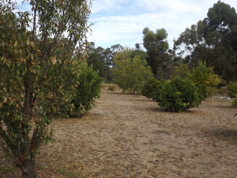 2 McLarty Street, Bridgetown WA 6255