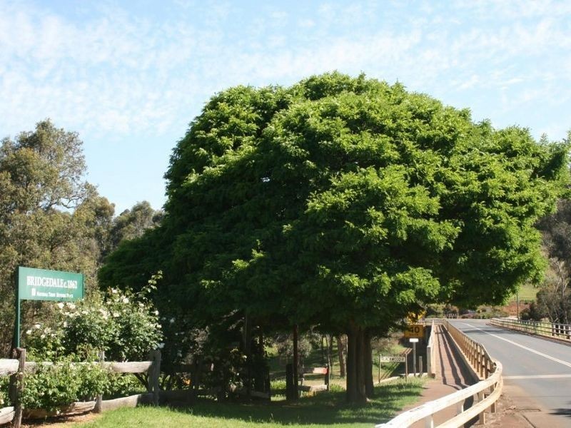 L 278 Gleneagles Drive, Bridgetown WA 6255