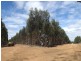 5861 Yerrilee Road, Bridgetown WA 6255