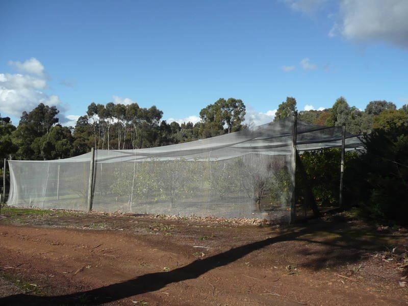 8 Flintoff Road, Bridgetown WA 6255