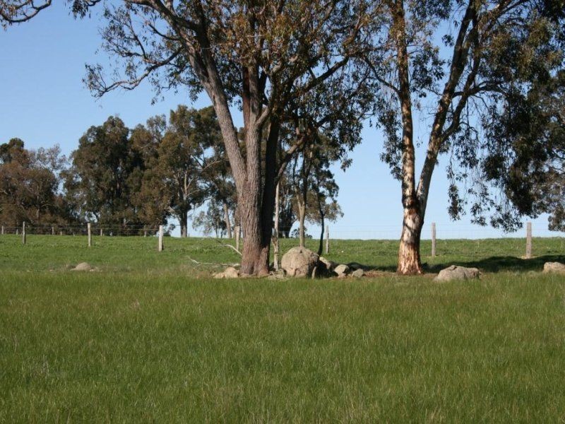 L 239 Ridgeview Avenue, Boyup Brook WA 6244