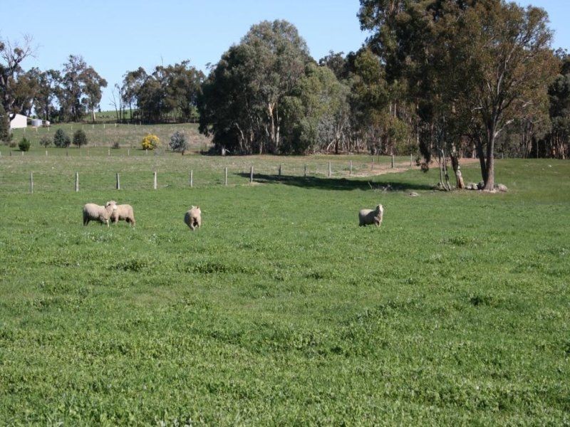 L 239 Ridgeview Avenue, Boyup Brook WA 6244