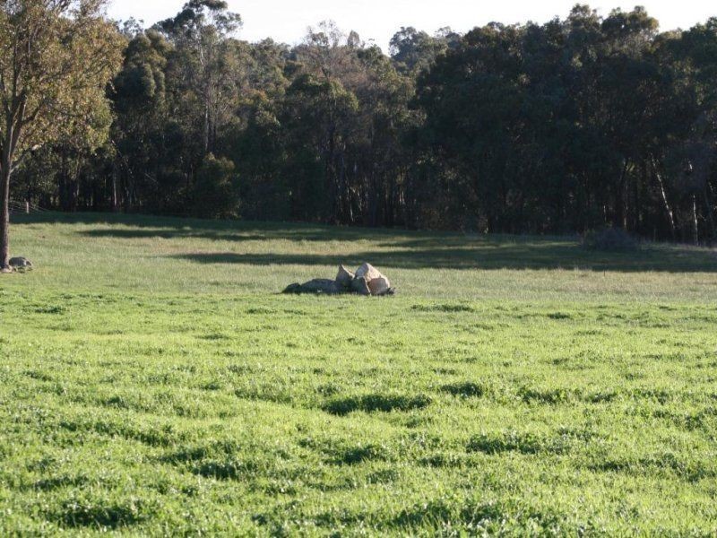 L 239 Ridgeview Avenue, Boyup Brook WA 6244