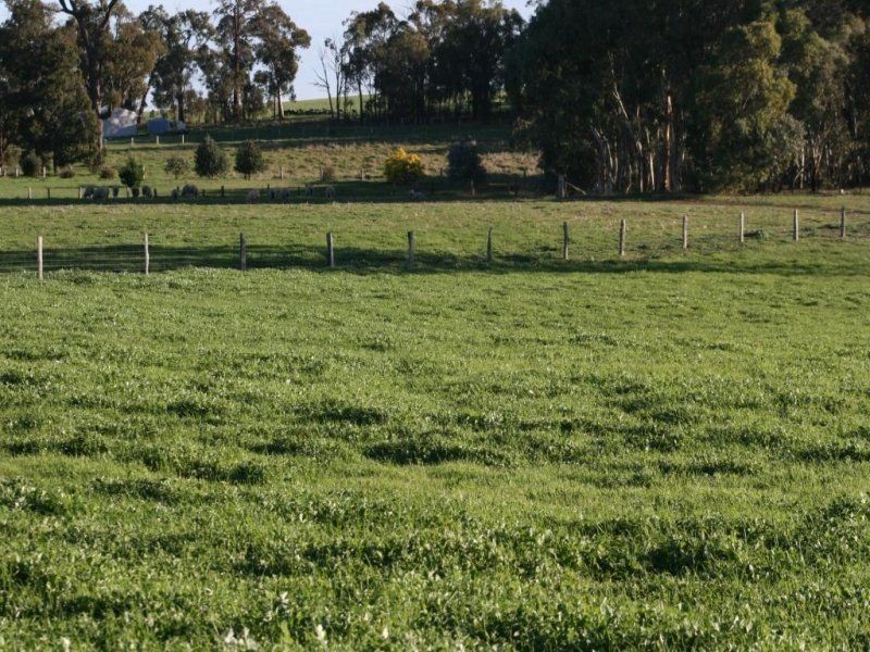 L 239 Ridgeview Avenue, Boyup Brook WA 6244