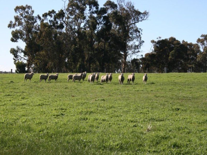 L 239 Ridgeview Avenue, Boyup Brook WA 6244