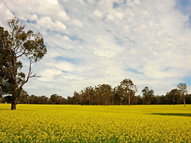 L 239 Ridgeview Avenue, Boyup Brook WA 6244