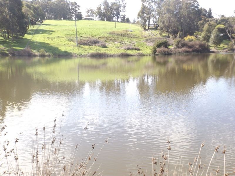 722 Walter Road, Bridgetown WA 6255