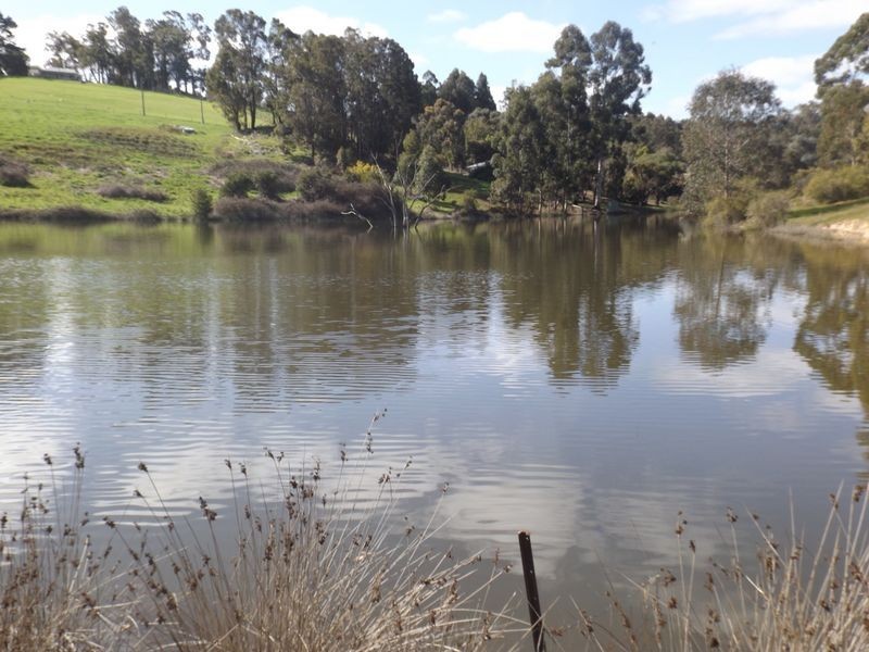 722 Walter Road, Bridgetown WA 6255