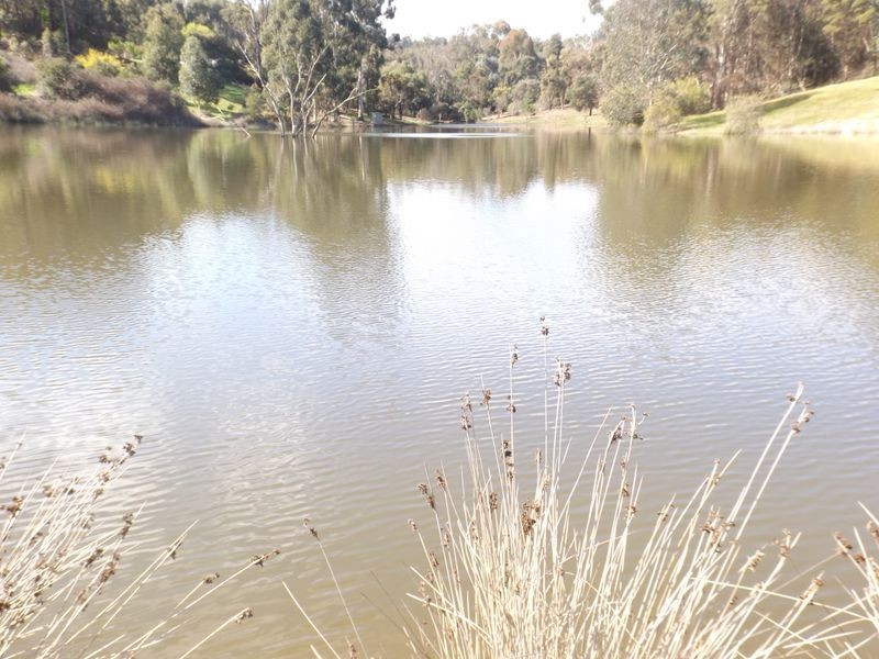 722 Walter Road, Bridgetown WA 6255