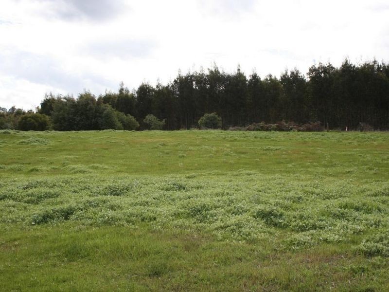 L 411 Lakeview Crescent, Bridgetown WA 6255