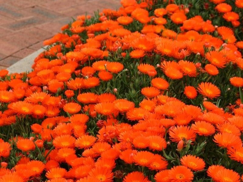 L 411 Lakeview Crescent, Bridgetown WA 6255