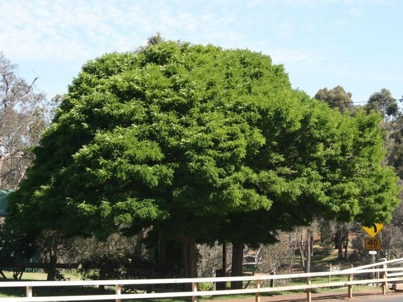 L 411 Lakeview Crescent, Bridgetown WA 6255