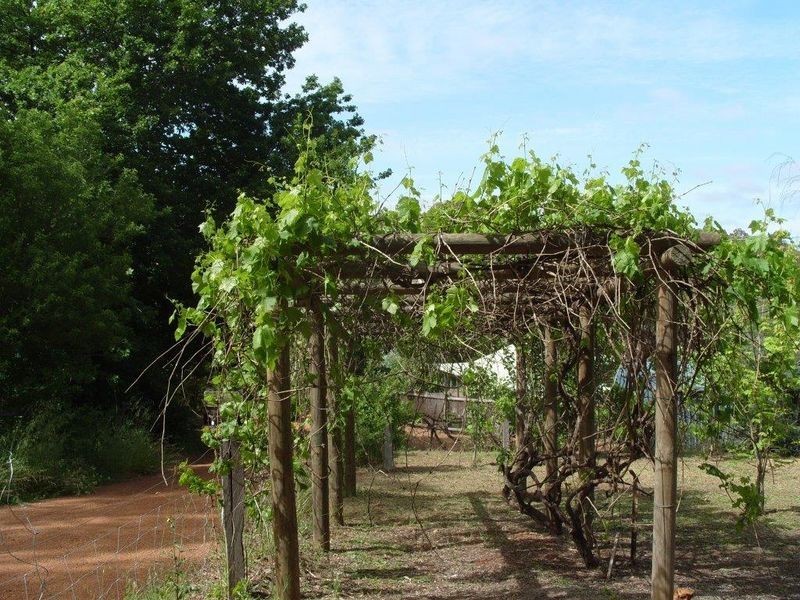 18 Forrest Street, Bridgetown WA 6255