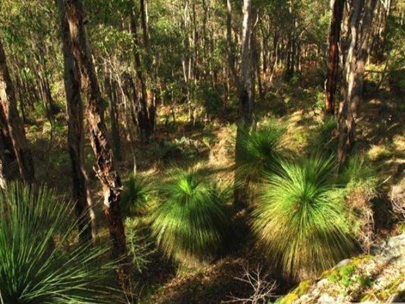 560 Polina Road, Bridgetown WA 6255