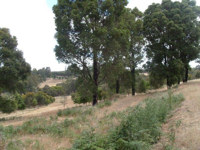 L 50 Flintoff Road, Bridgetown WA 6255