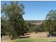 85 Blechynden Street, Bridgetown WA 6255