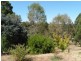 85 Blechynden Street, Bridgetown WA 6255