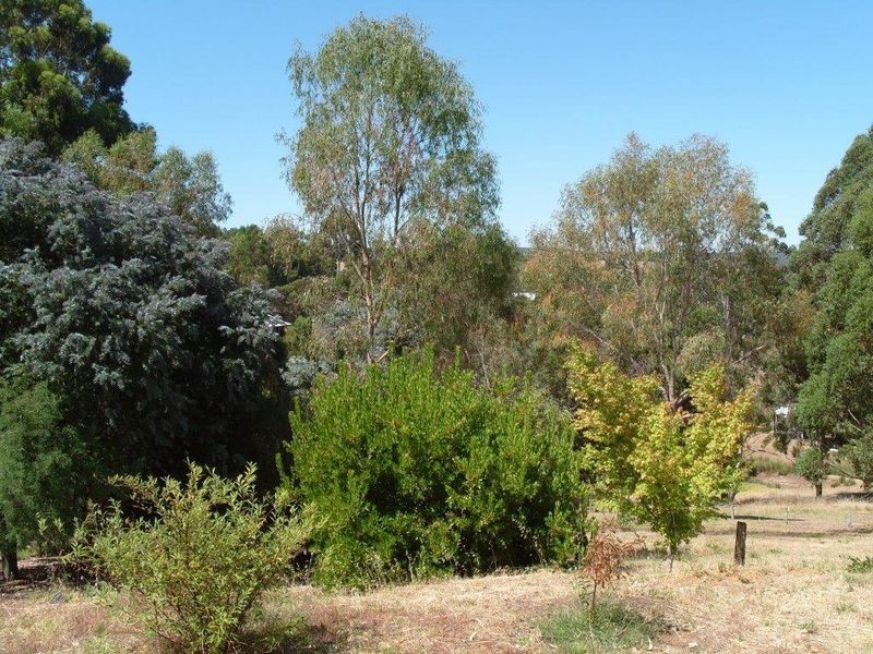 85 Blechynden Street, Bridgetown WA 6255