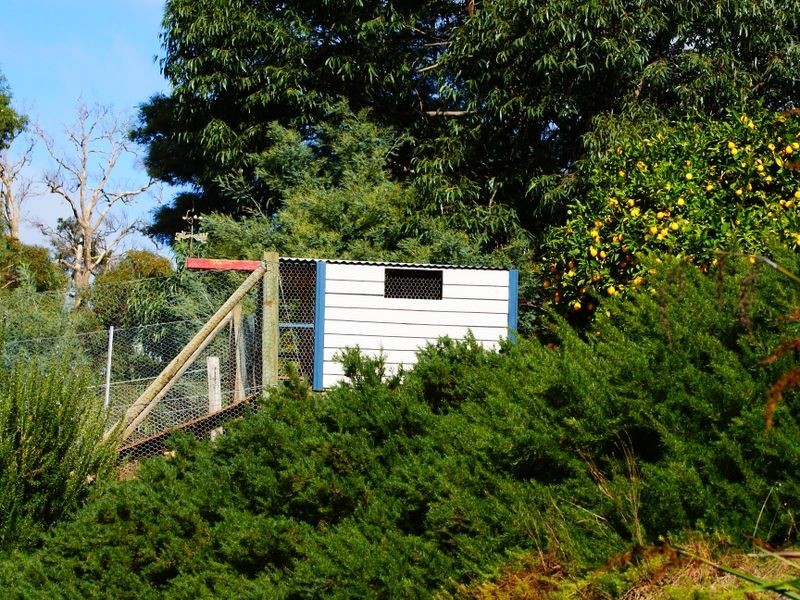 6 Smith Street, Bridgetown WA 6255