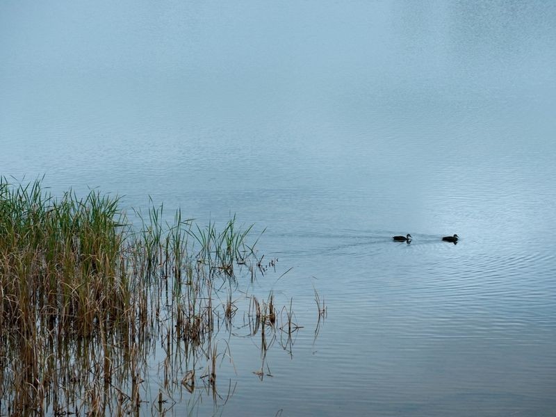 L 441 Gleneagles Drive, Bridgetown WA 6255