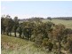 L 484 Riverview Close, Bridgetown WA 6255