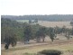 L 8 Limousin View, Bridgetown WA 6255