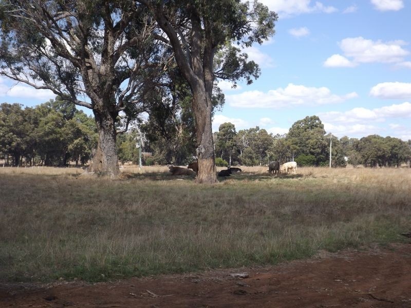 72 Grimwade Rd, Balingup WA 6253