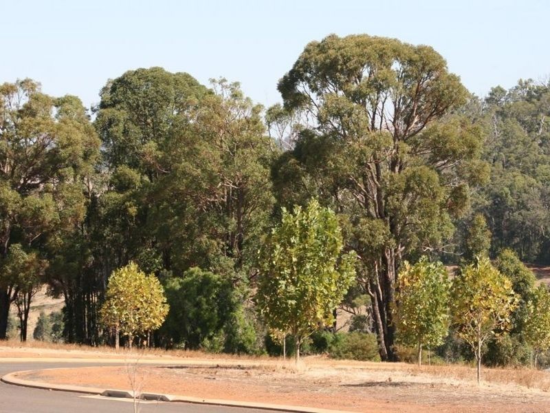Lot 280 Gleneagles Drive, Bridgetown WA 6255