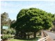 Lot 280 Gleneagles Drive, Bridgetown WA 6255