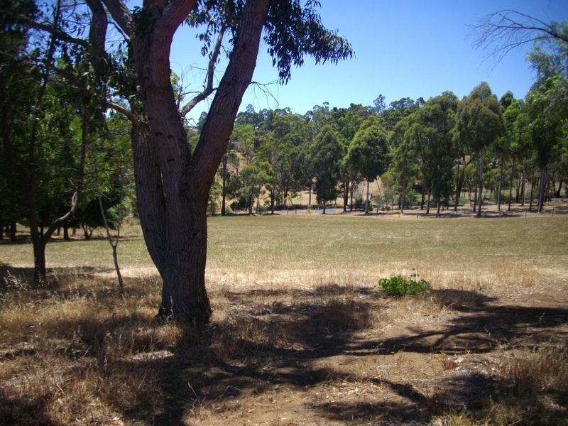 112 Henderson Road, Bridgetown WA 6255