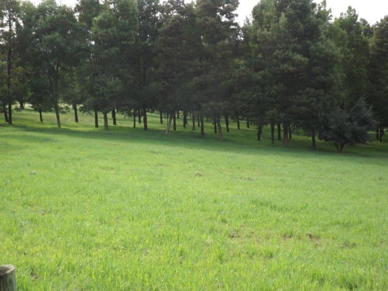 112 Henderson Road, Bridgetown WA 6255