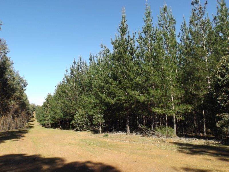 Lot 800 Greville Road, Bridgetown WA 6255